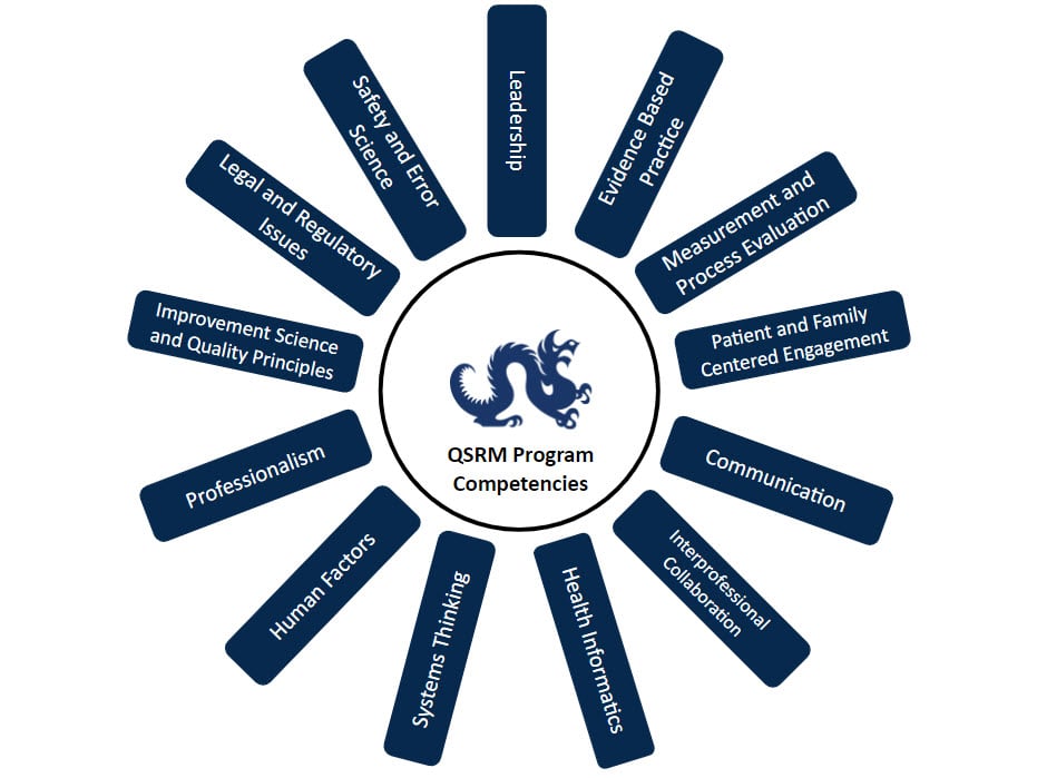 Program Competencies Wheel